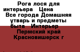 Рога лося для интерьера › Цена ­ 3 300 - Все города Домашняя утварь и предметы быта » Интерьер   . Пермский край,Красновишерск г.